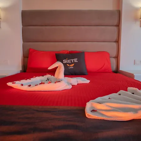 Hotel Siete 3*